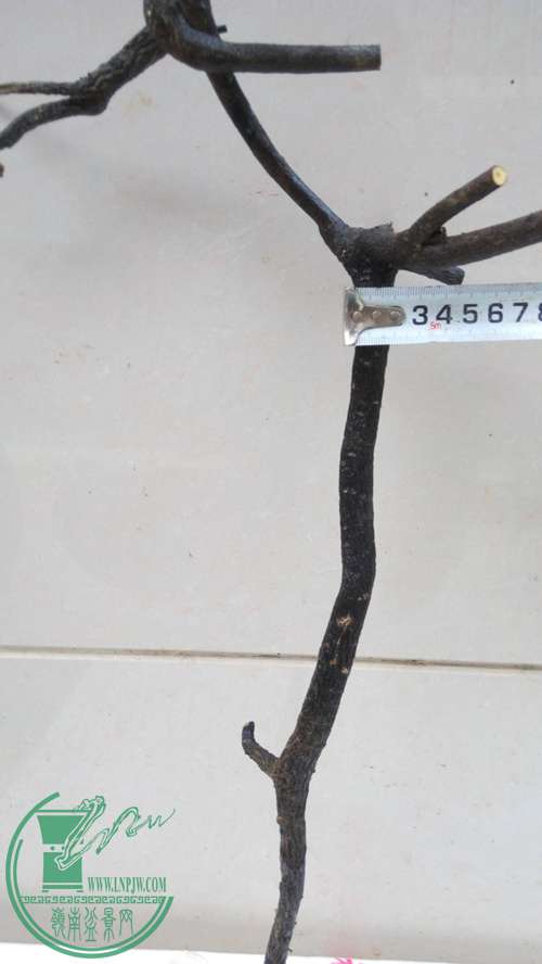 P70104-173537_.jpg