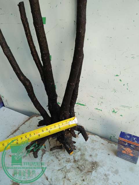 IMG20170104115047.jpg