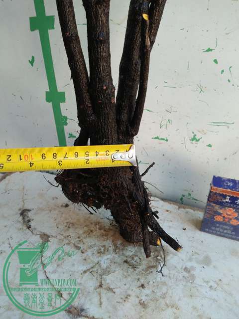 IMG20170104115132.jpg