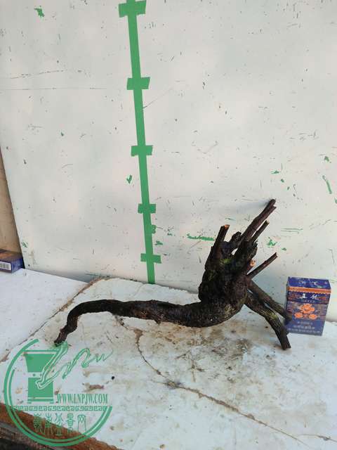 IMG20170104115222.jpg