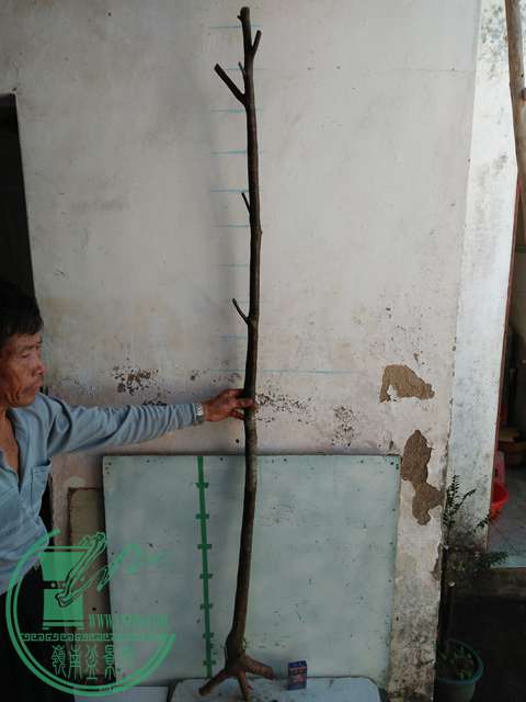 IMG20170104115726.jpg
