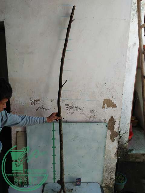 IMG20170104115757.jpg