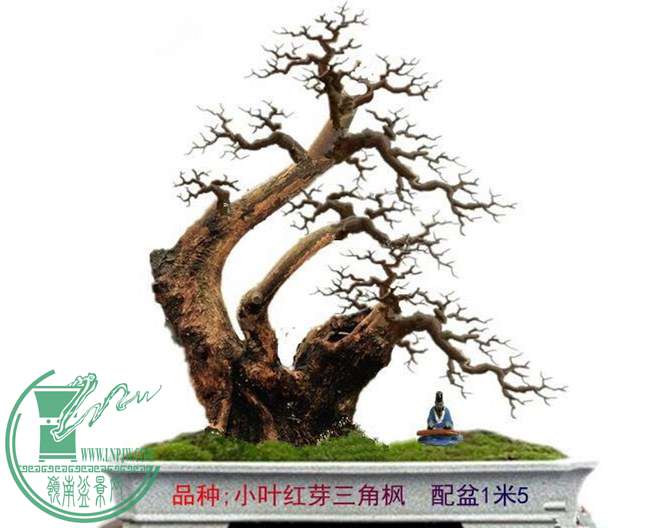 1Э̼