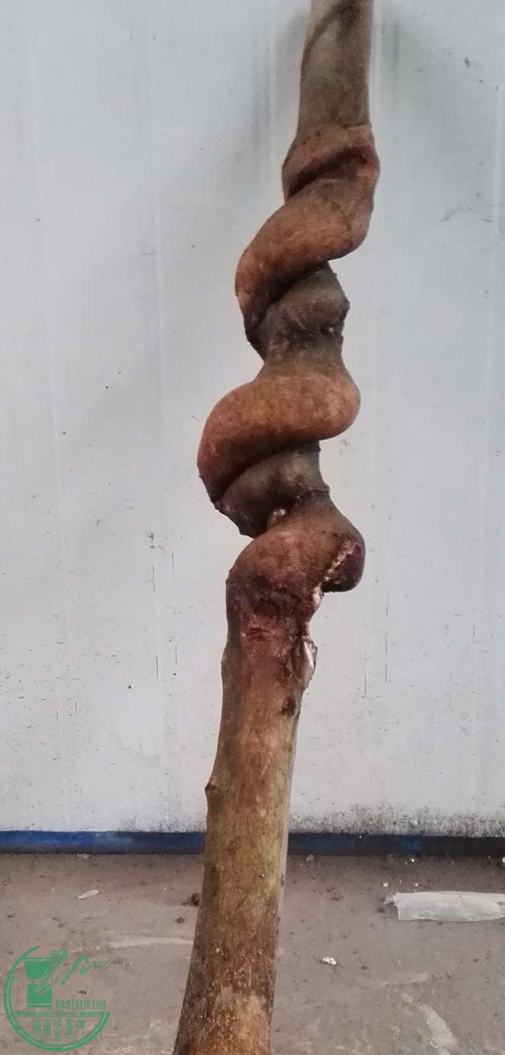 2350
