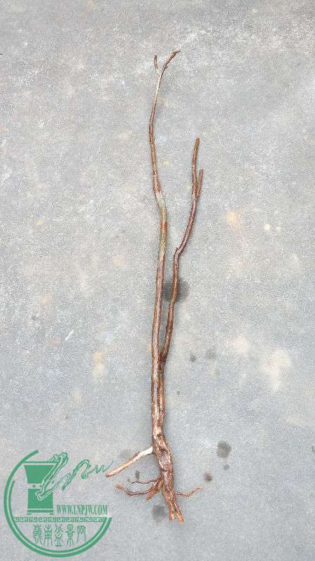 850069