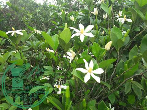 IMG20160428144337.jpg