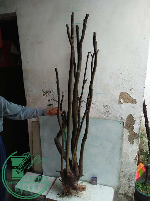IMG20170105114649.jpg