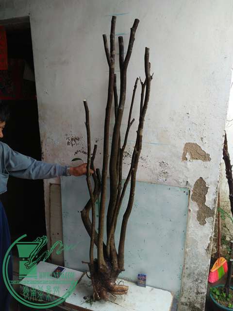 IMG20170105114713.jpg