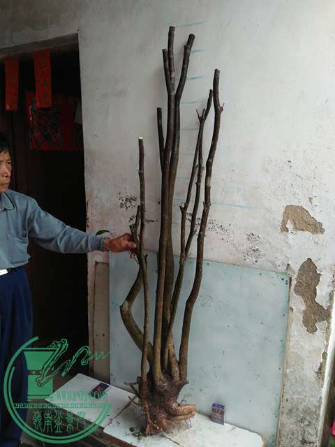 IMG20170105114736.jpg