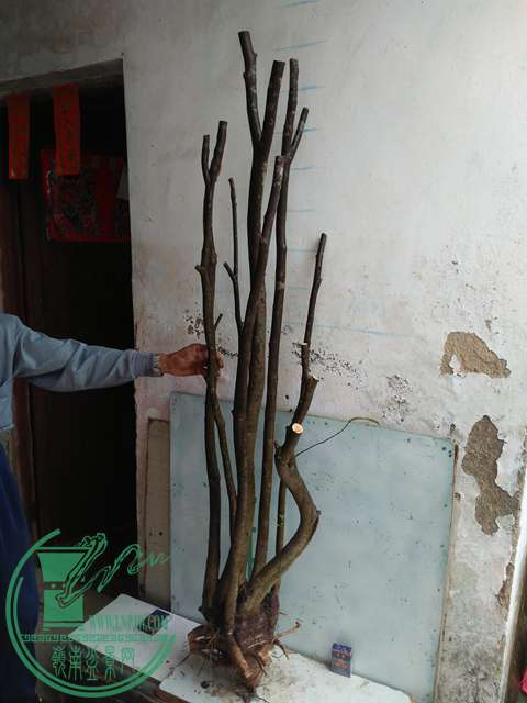 IMG20170105114750.jpg