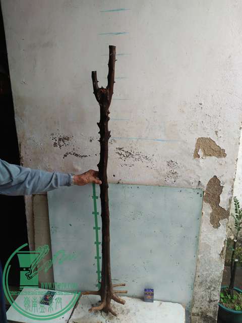 IMG20170105114845.jpg