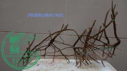 P70105-173519_.jpg