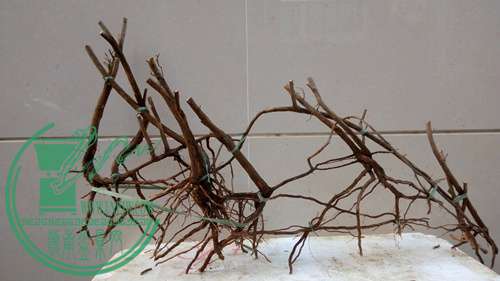 P70105-173707_.jpg