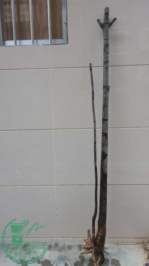 P70106-174210_.jpg