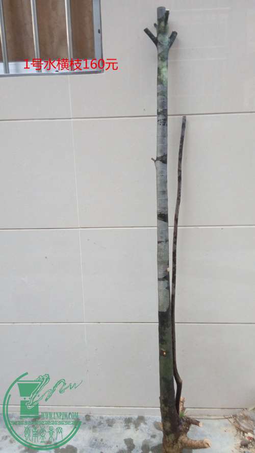 P70106-174242_.jpg