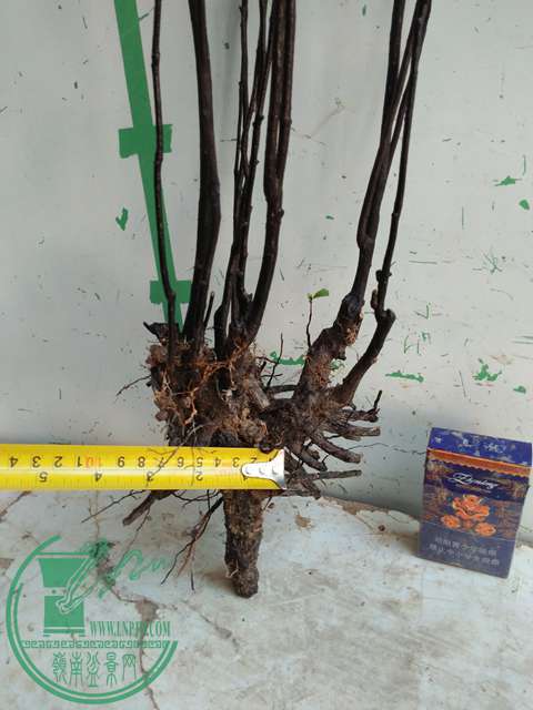 IMG20170106120133.jpg