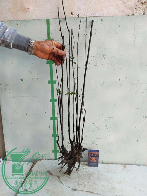 IMG20170106120139.jpg