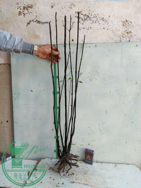 IMG20170106120406.jpg