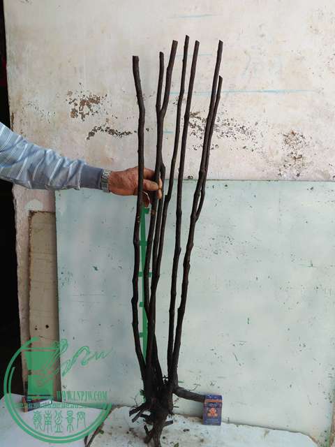 IMG20170106121131.jpg