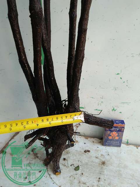 IMG20170106121143.jpg