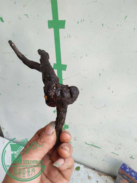 IMG20170106120539.jpg