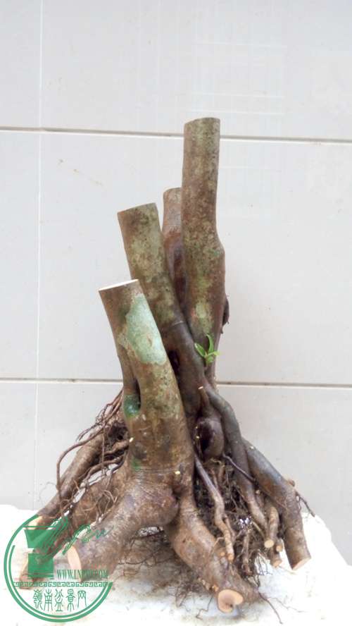 P70107-172259_.jpg