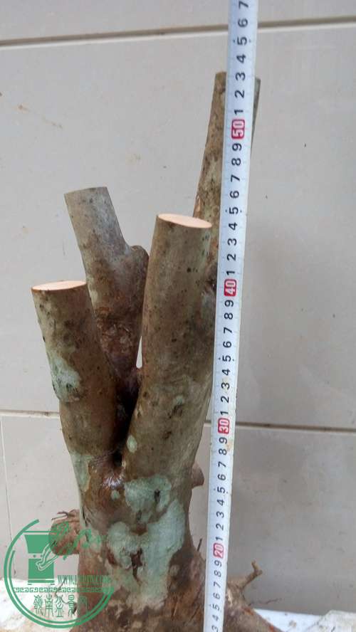P70107-173003_.jpg