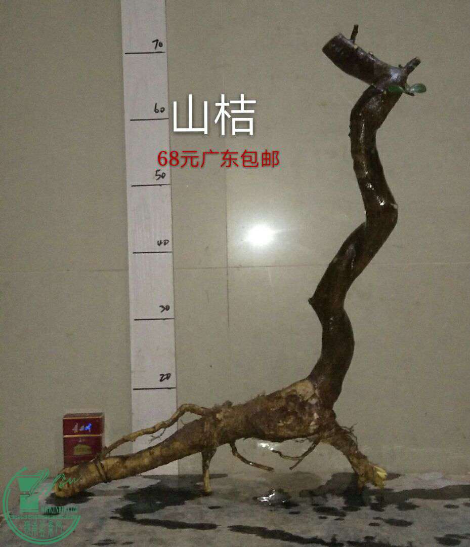 QQͼƬ20170107211615.jpg