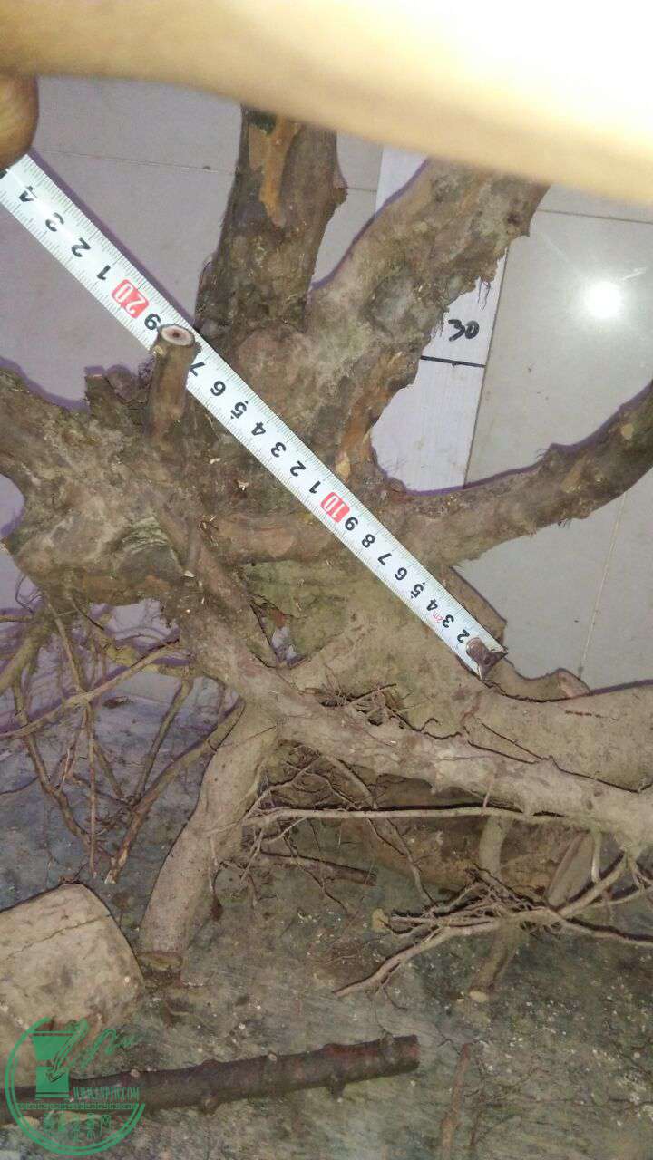 QQͼƬ20170108193954.jpg