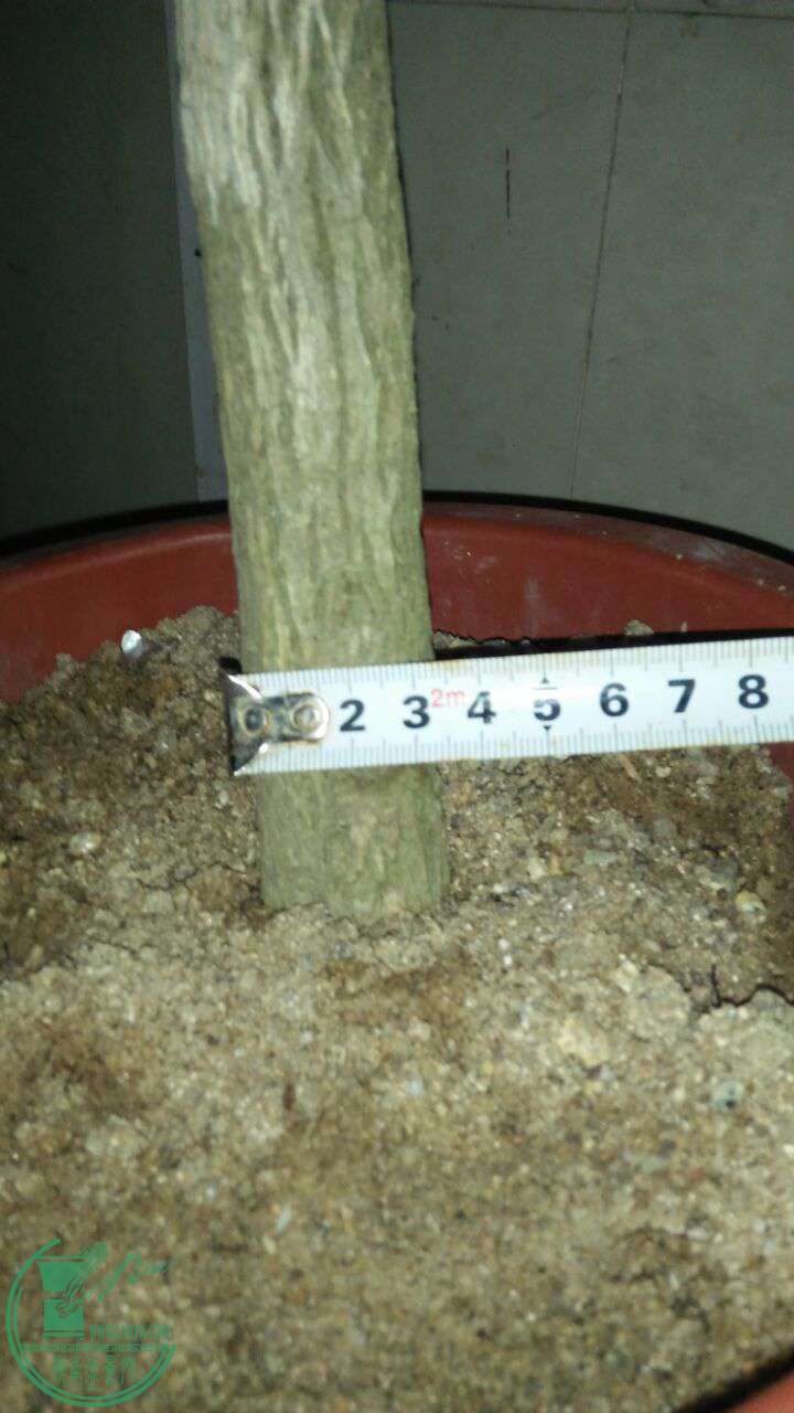 QQͼƬ20170108193925.jpg