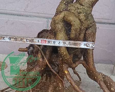 20170108_174808_mh1483872915917.jpg