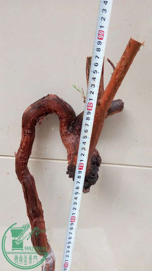 P70108-164554_.jpg