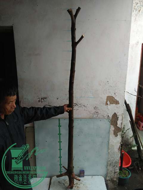 IMG20170109093514.jpg