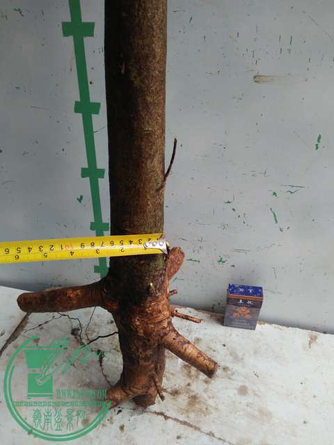 IMG20170109093524.jpg