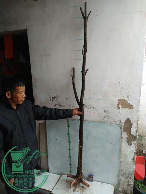 IMG20170109093556.jpg