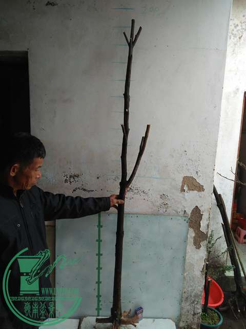 IMG20170109093629.jpg