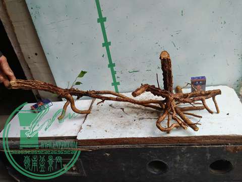 IMG20170109094006.jpg