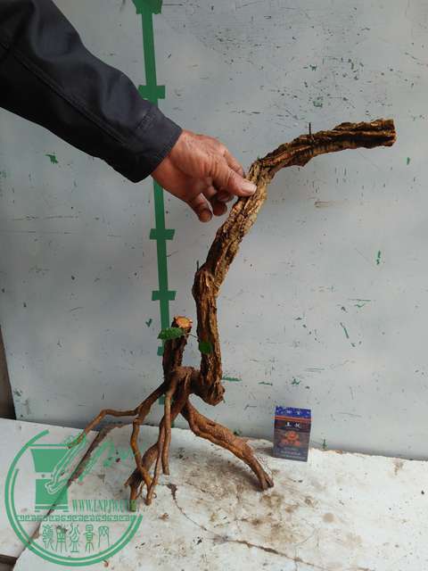 IMG20170109094212.jpg