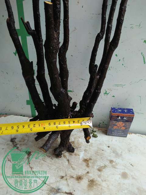 IMG20170109090441.jpg