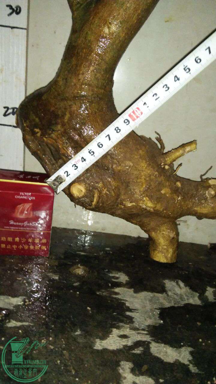QQͼƬ20170109192350.jpg