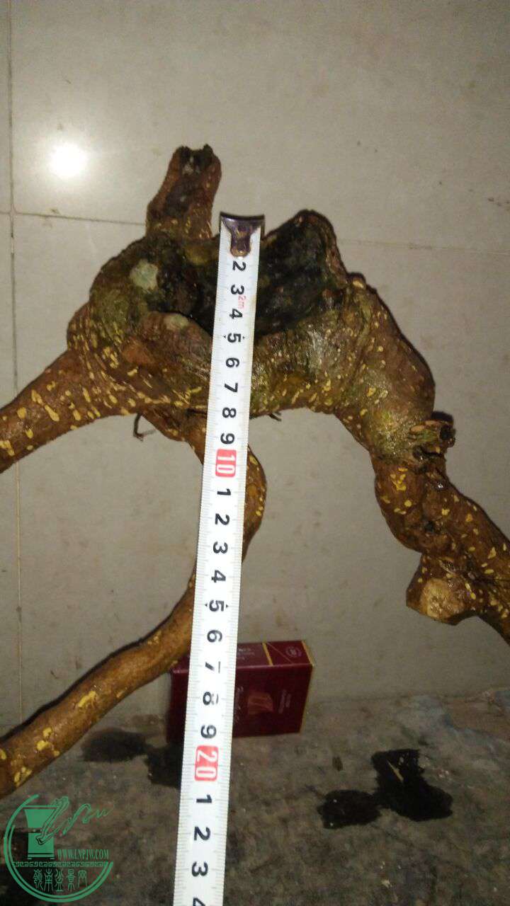 QQͼƬ20170109193924.jpg