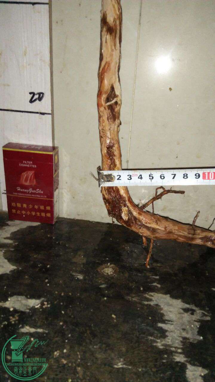 QQͼƬ20170109201558.jpg
