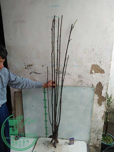 IMG20170107123901.jpg
