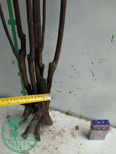 IMG20170107123909.jpg