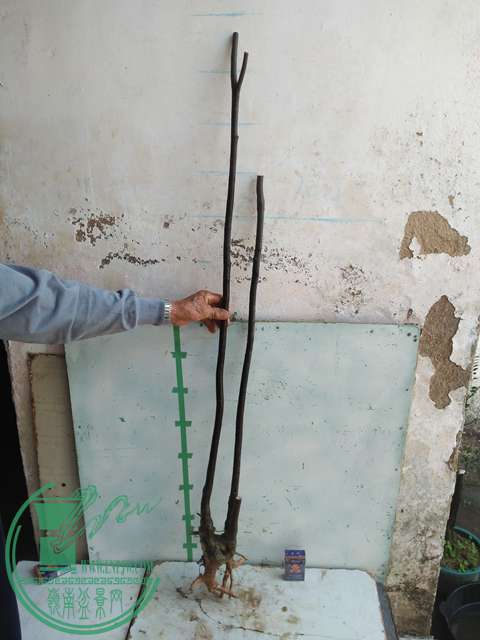 IMG20170108105945.jpg