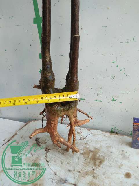 IMG20170108105957.jpg