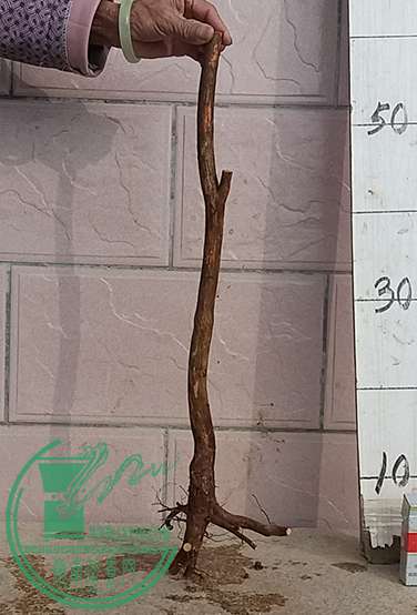 20170111_091107_mh1484099922015.jpg