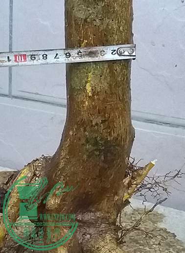 20170111_175515_mh1484131267629.jpg