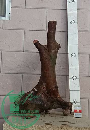 20170111_090825_mh1484131648759.jpg