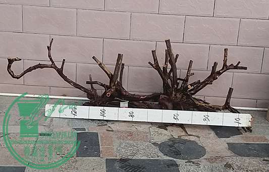 20170111_085557_mh1484131805302.jpg